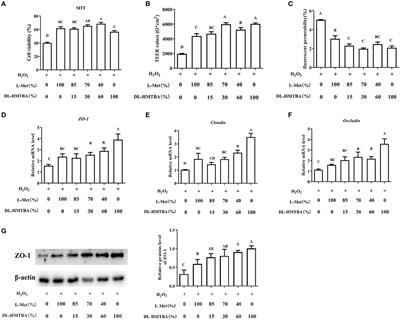 Effects on the Cell Barrier Function of L-Met and DL-HMTBA Is Related to Metabolic Characteristics and m6A Modification